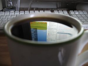 45142239_85cbb6e9ba_o2.jpg