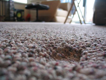 carpet_divot1.jpg