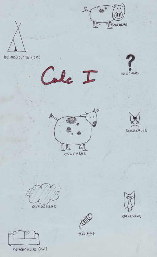 calc1b