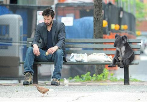 sad-keanu-sad-koala
