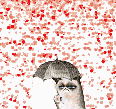 Happy Valentine's Day from Grumpy Cat